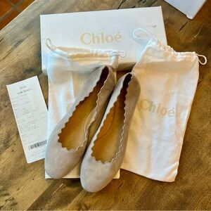 Chloe Lauren Flats Elephant Grey Size 41  Suede NWT